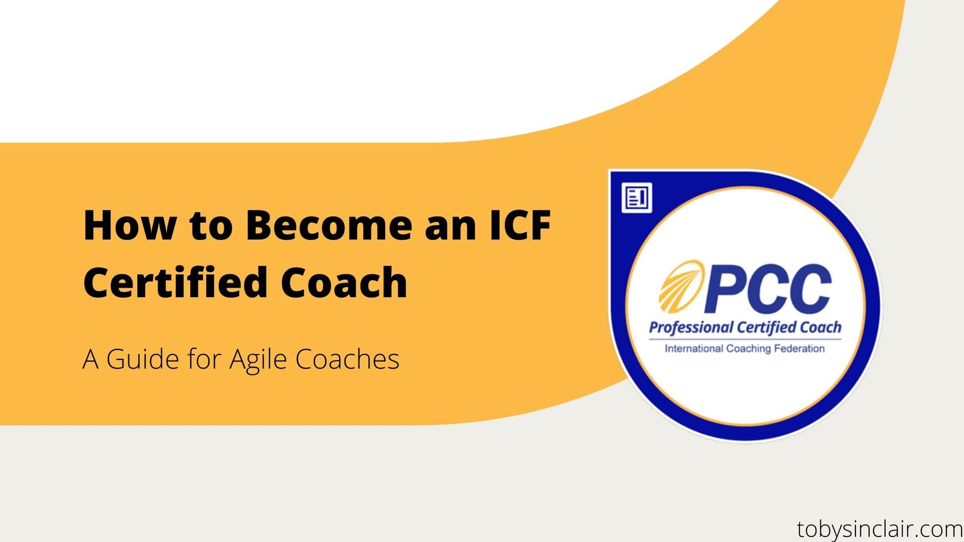 Agile Coaching Certification: Professional Coaching Route