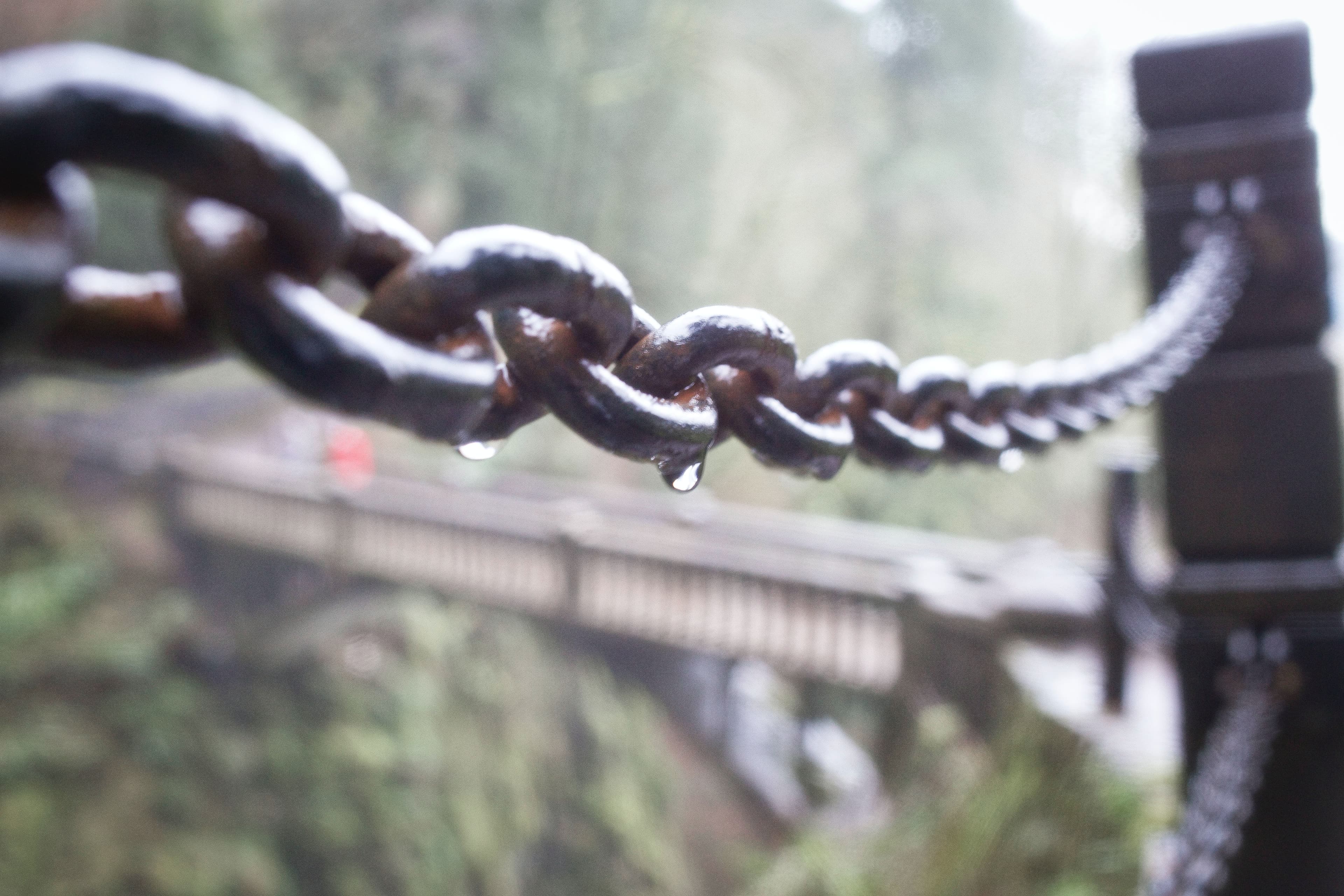 Constraints-Led Leadership Development