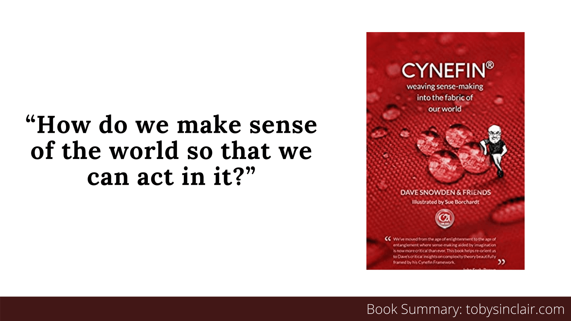 Book Summary: Cynefin by Dave Snowden et al | Learning about Complexity