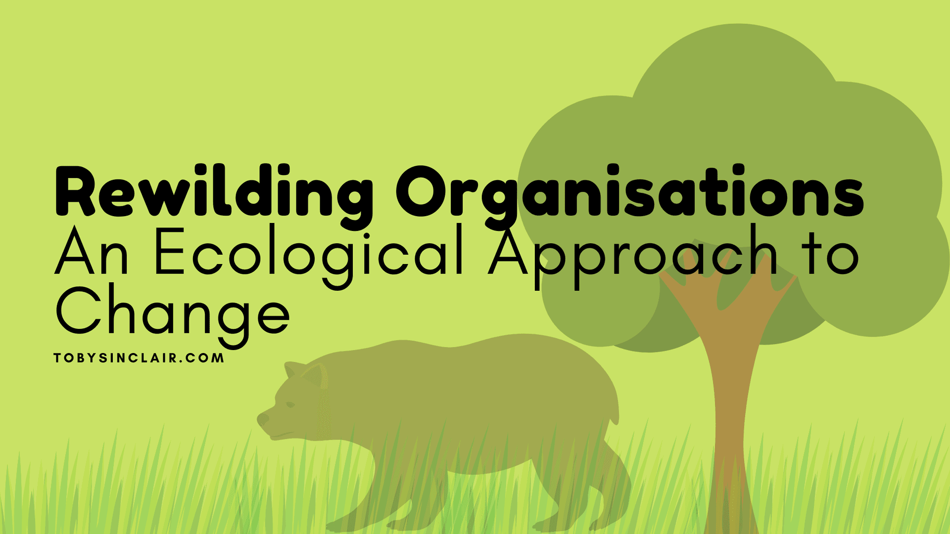 Rewilding Organisations | An Ecological Approach to Change
