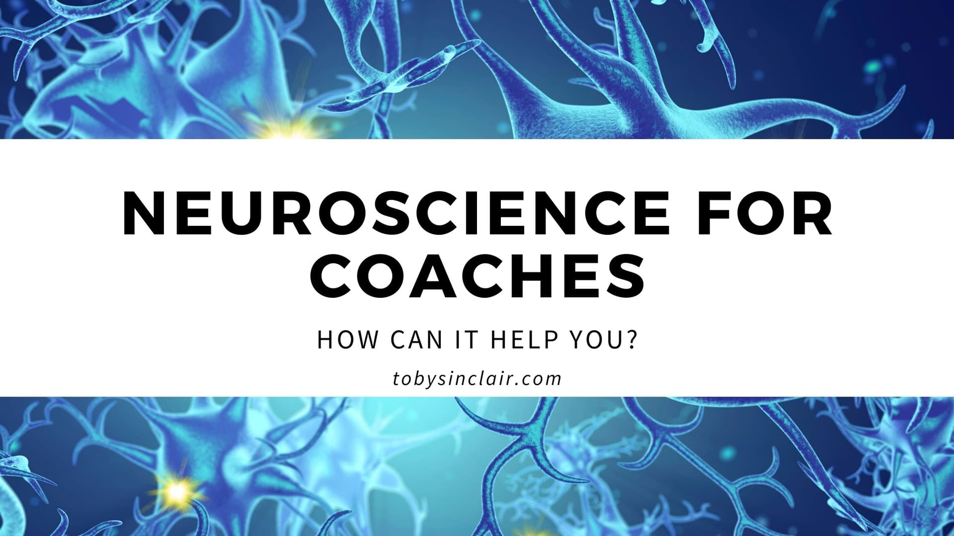 Neuroscience for Coaches | How can it help you?
