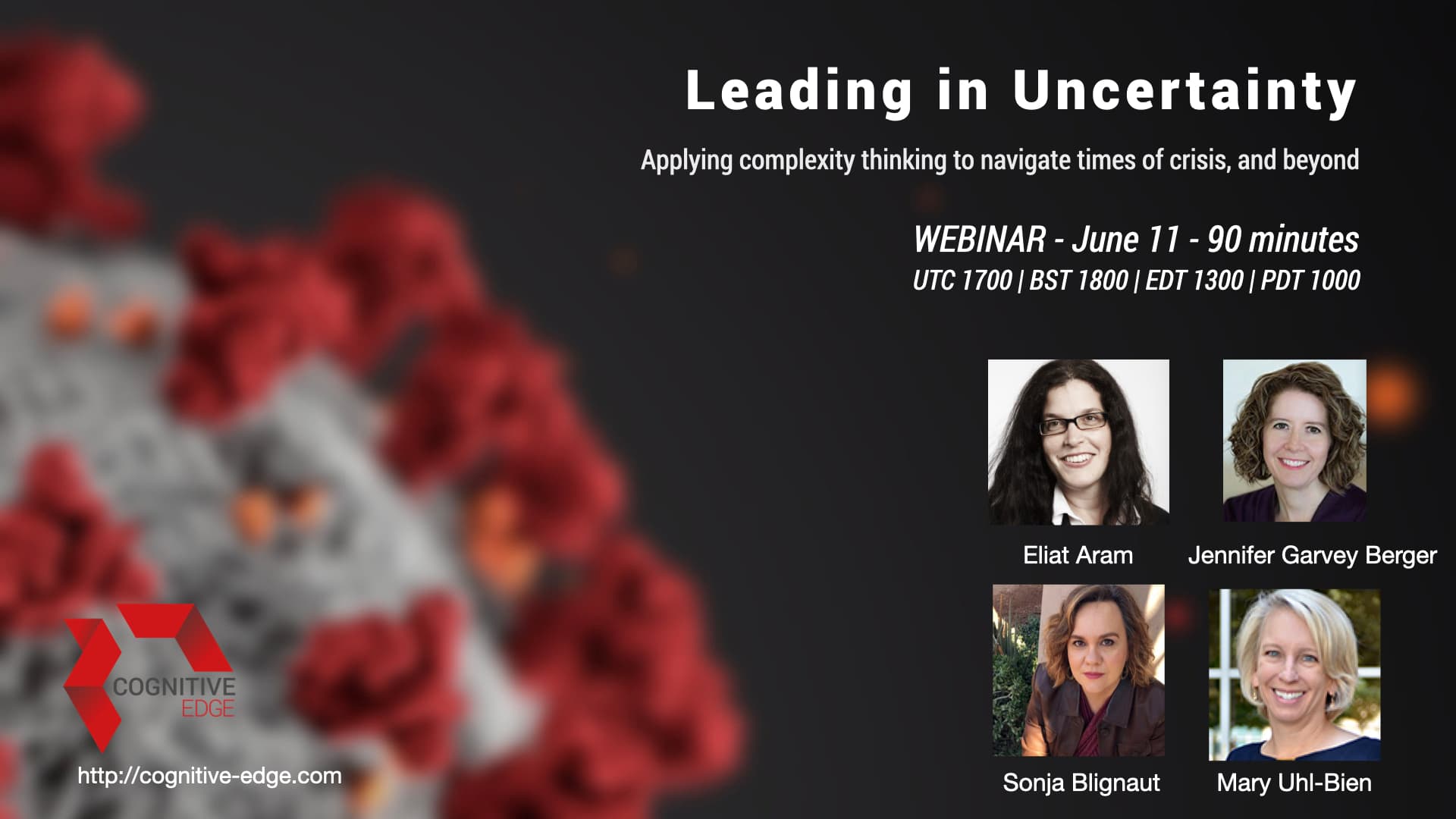 Leading in Uncertainty with Cynefin – Cognitive Edge