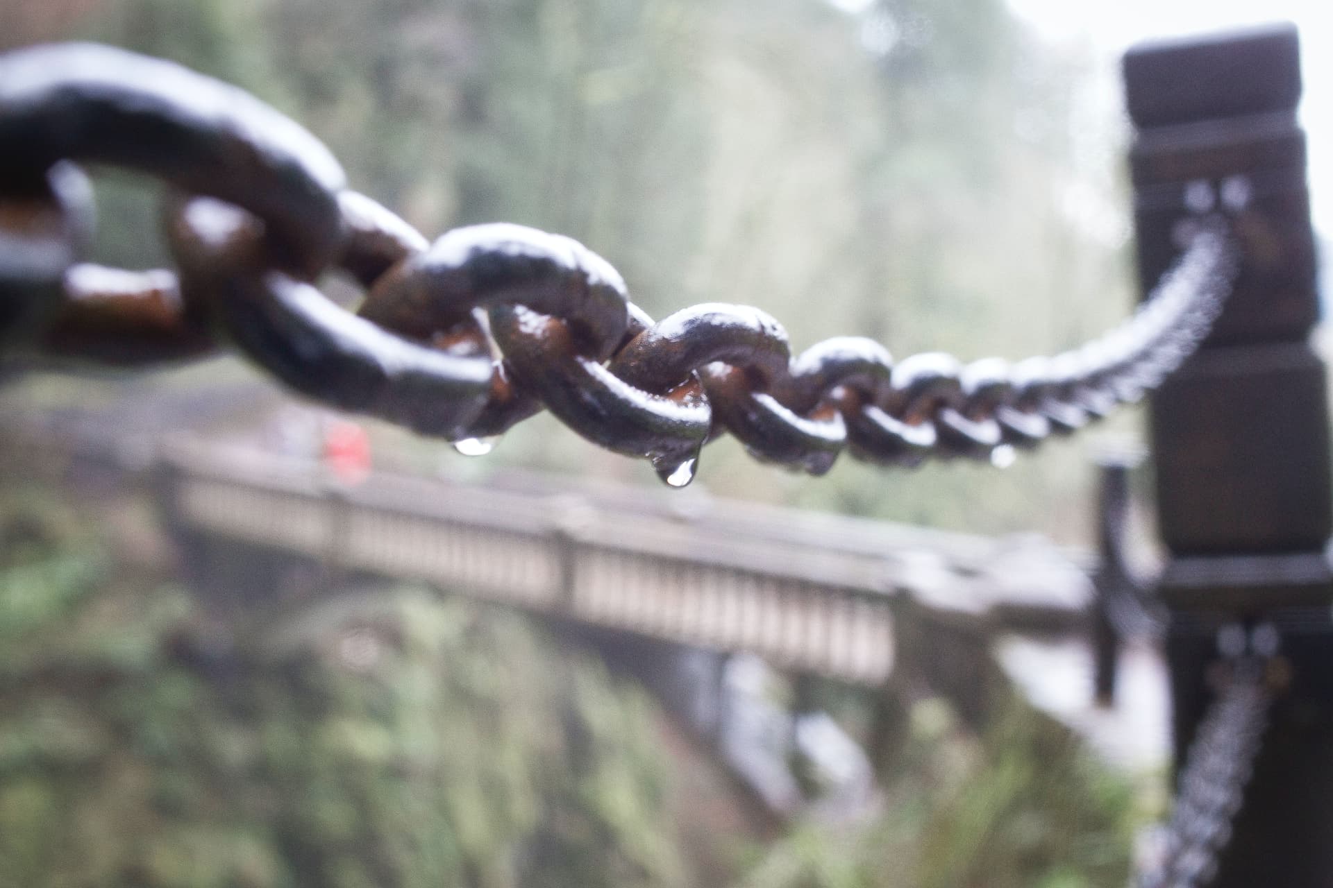 Constraints-Led Leadership Development